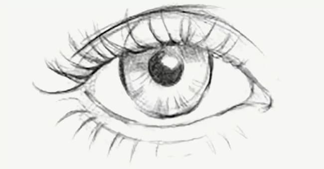 Recently Initiative I agree Portret in creion: schita ochi, nas si buze (desen in creion pentru  incepatori)
